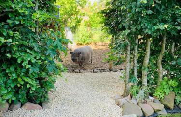 The Sty & The Stable - Foto 9