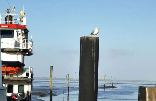Ferienwohnung 1 Nordsee Gulfhof Dornum - mit großem Garten - Foto 24
