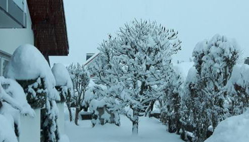 Ferienwohnung Schwarzwaldglück - Foto 2
