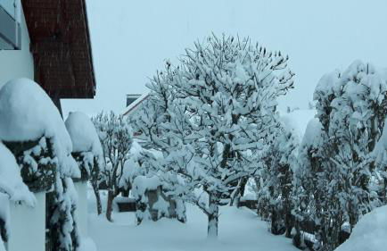 Ferienwohnung Schwarzwaldglück - Foto 2