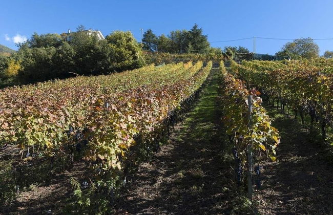 Agriturismo Gli Elfi - Foto 28