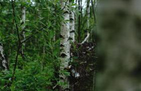 Domki na Górniej Łące - Domek Górny - Foto 68