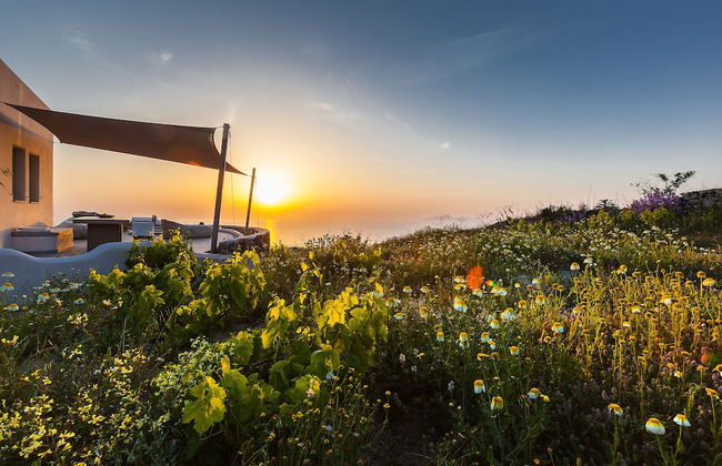 Villa Vinea - Foto 35