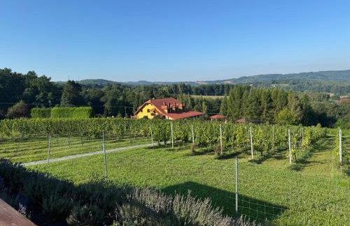 Willa Winnica Maria Anna - Foto 6