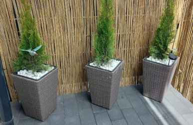 Apartament Karbowo - Foto 9