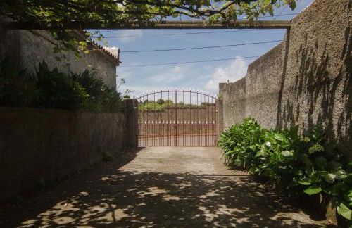 Quinta do Mirante 1785 - Photo 23