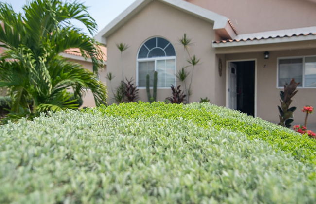 The Golf Oasis II - Photo 46