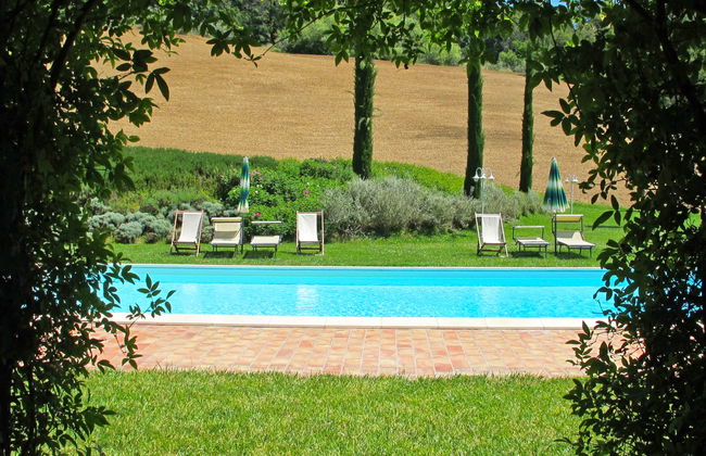 Corbezzolo - Foto 34