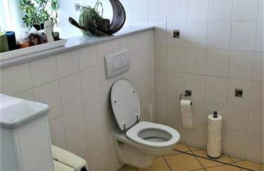 Tolle große Wohnung mit Kamin und Terrasse - Foto 9