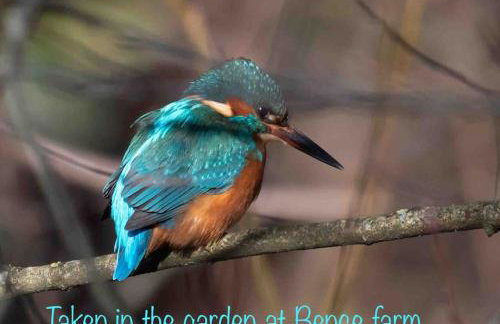 Four bed barn conversion Junction 37 38 M1 - Foto 35