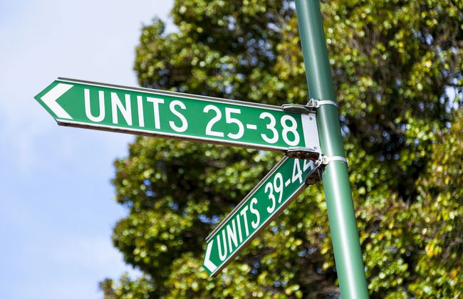 Park Avenue - Forest Hill - Photo 36