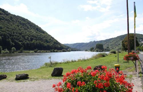 Ferienwohnungen im Moseltal - Foto 33