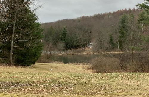 Mighty Oak near Sayre Towanda - Photo 9