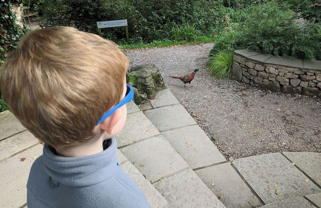 1 Lathom Avenue - Foto 64