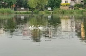 LAZARÓWKA - RYBNO - Foto 12