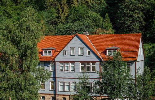 Apartment Gemütliche Ferienwohnung in Lerbach by Interhome - Foto 1