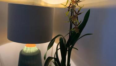 Hideaway Holiday Apartment - Photo 3