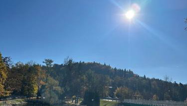 Różany Ogród - Foto 3