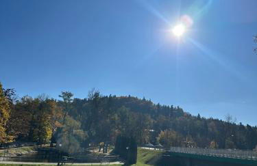 Różany Ogród - Foto 3