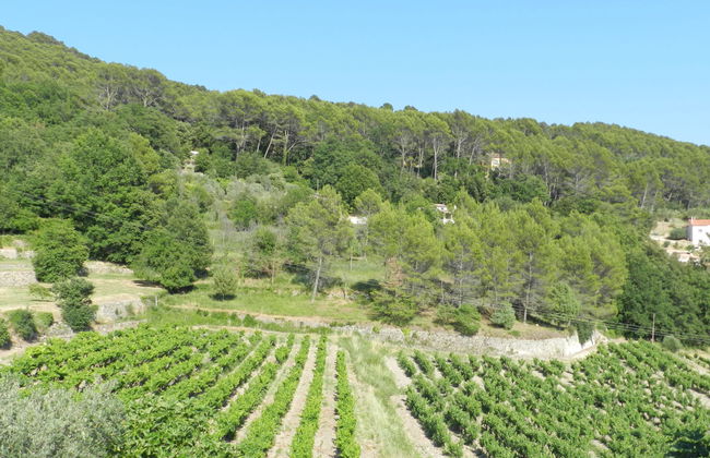 Les Grenaches - Foto 37