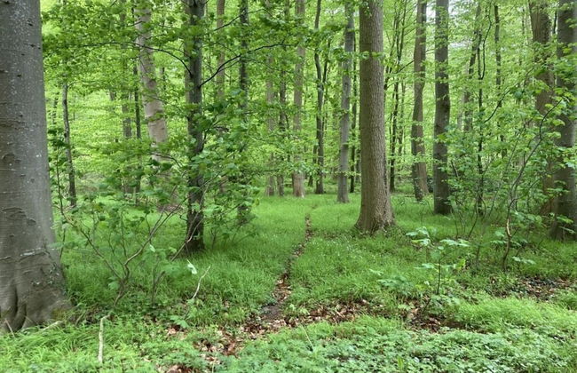 Honer Country House - Foto 32