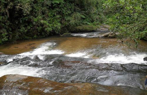 Casa do Bosque - Foto 31