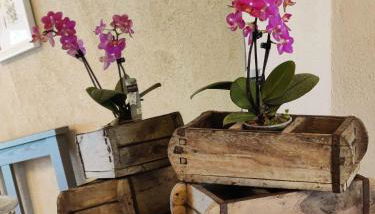 Lüttje Freeitied - Foto 4