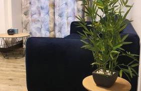 Duplex T2 Neuf Jardin Lecoq - Foto 8