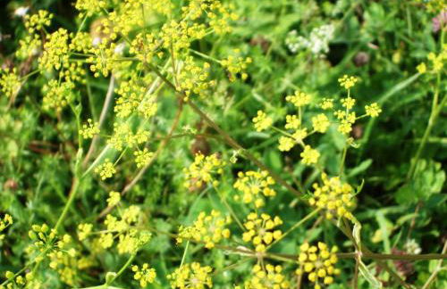 Ferienwohnung Örtl 7 - Foto 39