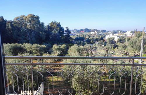 Porta Sugli Ulivi - Foto 12