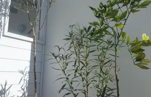 Entre Catedrales Terrace - Photo 17