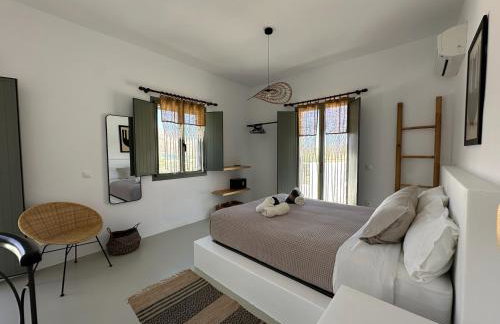 Ammos Andros Accommodation - Photo 17