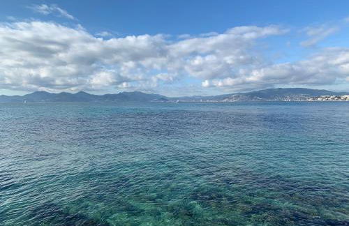 Beautiful apartment Cannes center terrace parking - Foto 42