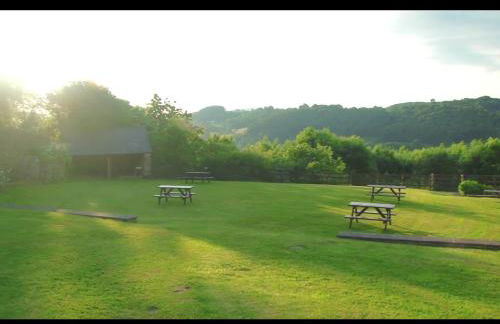 Bryn Melyn Farm Cottages - Foto 54