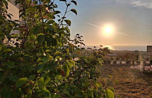 Roe Sea View - Foto 36