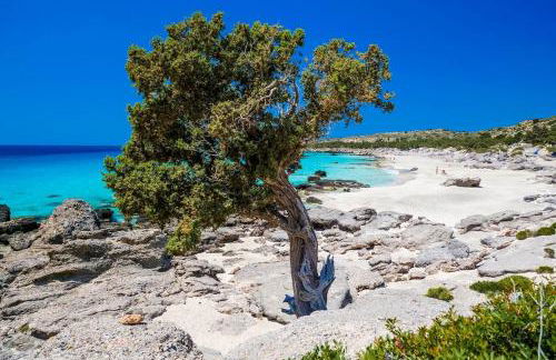 theVotsalo Eco house - Foto 25