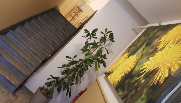 Entrada (vista interior)