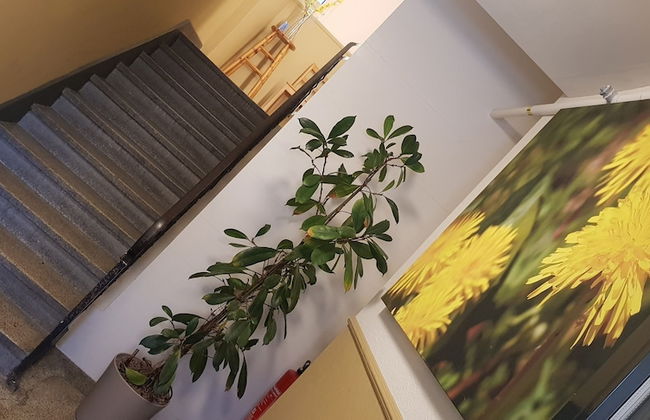 Easy-Living Apartments Lindenstrasse 21 - Foto 2