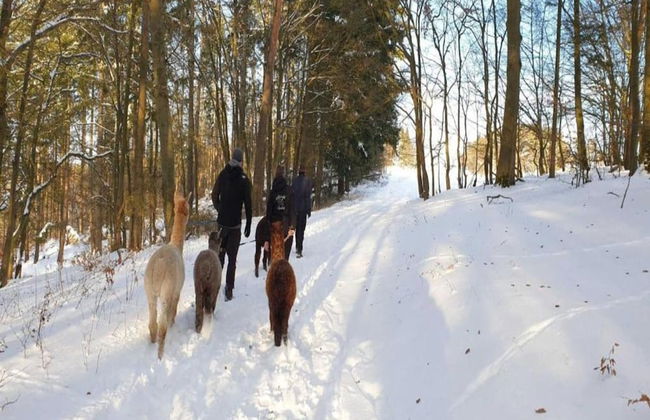 Ferienhaus in Hessen mit Grossem Garten - Foto 33