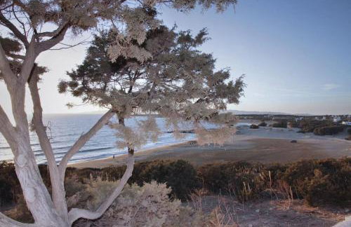 Junior paradise! - Foto 8