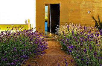 Holiday Home Alexander Plana - Foto 21