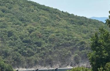 Island home Green Escape Cres - Foto 31