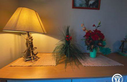 le Chouette - Photo 15