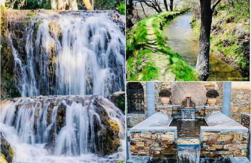 El Aguacate - Foto 39