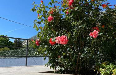 Apartman Natura - Foto 20