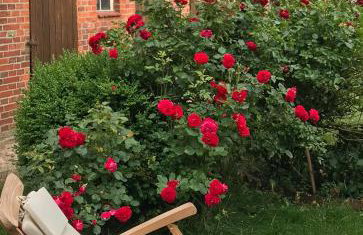 Timber House For Outdoors Fans By Elbe - Foto 23