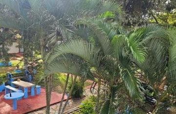 Chacara do Tche - Foto 33