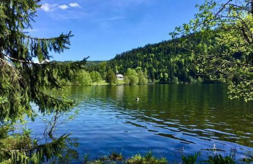Gite l'Échapée Belle dans les Vosges - Foto 62