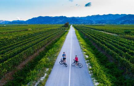 Apartments Ema - Photo 14