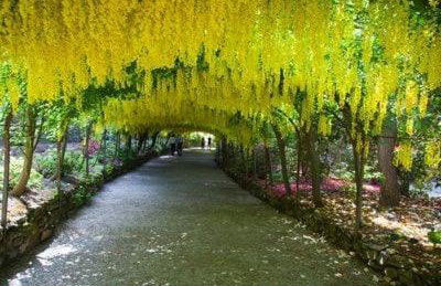 Y Gorlan - Snowdonia luxury house Carneddau mountain views - Photo 47